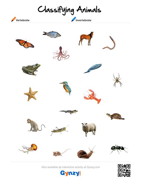 Free Printable Worksheets On Vertebrates And Invertebrates - Printable Worksheets