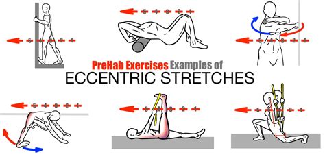 The Art of Stretching - PreHab Exercises | Exercise, Mobility exercises ...