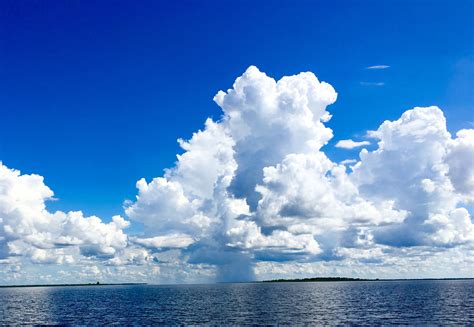 Afternoon Florida Rains | Clouds, Summer rain, Cumulus clouds