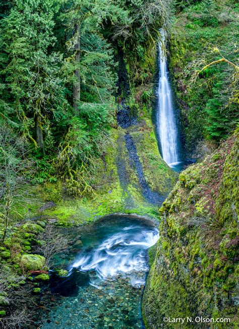 Eagle Creek, Columbia River Gorge, Oregon - Larry N. Olson Photography