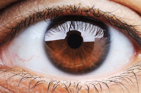 What Eye Color Says About Your Health | The Healthy