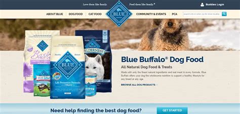 Blue Buffalo Large Breed Puppy Food Review – All You Need to Know About ...