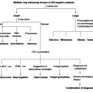 (PDF) Multiple ring-enhancing lesions of the brain