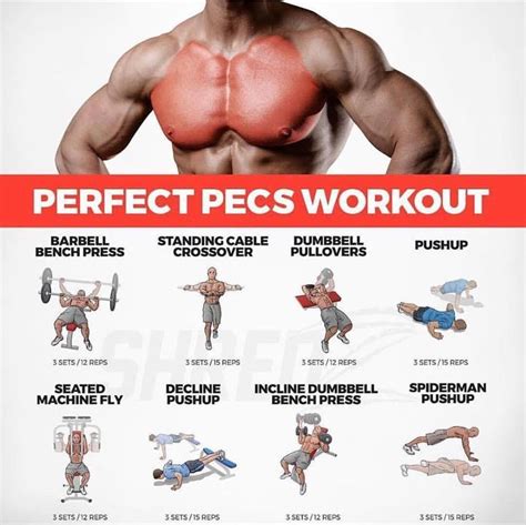 Pin by Bob Belding on Sport and Exercise | Chest workout, Barbell ...