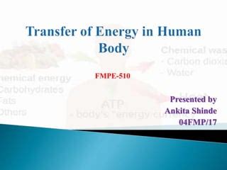 Transfer of energy in human body | PPT