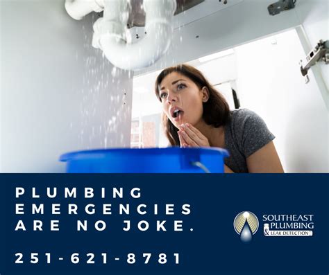 Plumbing emergencies are the WORST. But don't worry, our professional plumbers here at Southeast ...