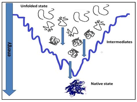 Diseases | Free Full-Text | Protein Misfolding and Aggregation in Proteinopathies: Causes ...