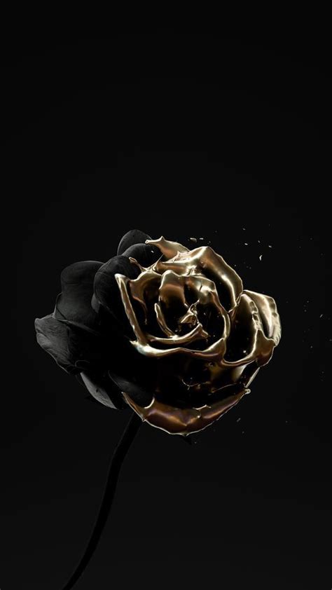 Black Aesthetic Wallpapers | Download 45 Free Black Aesthetic Wallpaper | Black and gold ...