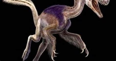 The T. Rex's Ancestor from the Jurassic Era Has Been Discovered