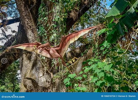 Flying Pterodactyl Stock Photos - Royalty Free Pictures