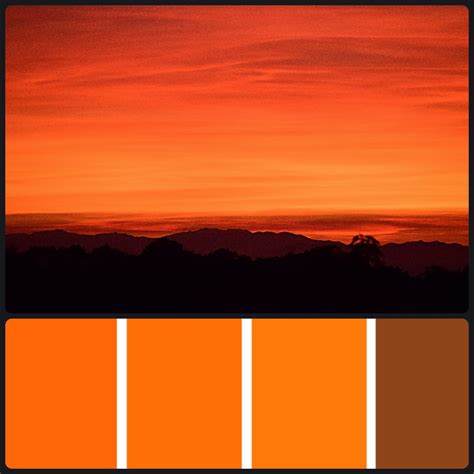 Burnt Orange Color Palette Ideas | atelier-yuwa.ciao.jp