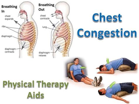 Proper respiratory exercises can assist in toning up the muscles that are responsible for ...