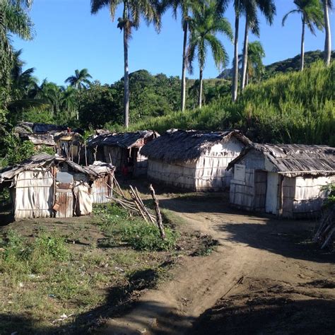 Haitian Palm Village | House styles, Village, Cabin