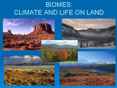 BIOMES CLIMATE AND LIFE ON LAND BIOMES CLIMATE