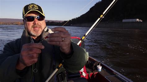 Monster catfish: An experienced river guide explains monster catfish ...