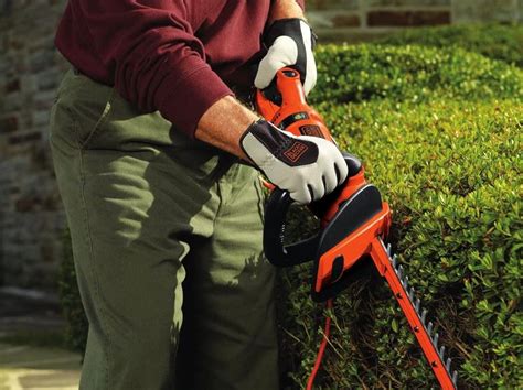 The 10 Best Hedge Trimmers of 2024 – Rhythm of the Home