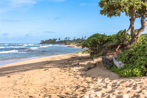 12 Incredible Airbnbs in Lihue, Kauai – Wandering Wheatleys