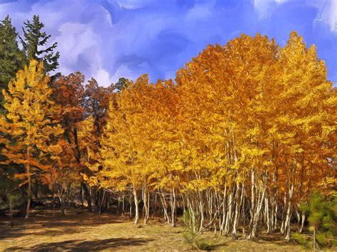 Aspen Trees in Autumn Painting by Dominic Piperata - Fine Art America