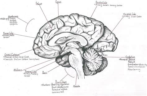 Tipografía letras, Psicologia medica