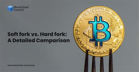 Soft fork vs. Hard fork: A Detailed Comparison - Blockchain Council