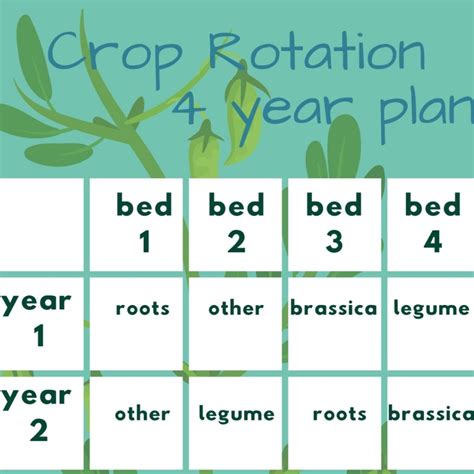 Printable Crop Rotation Chart