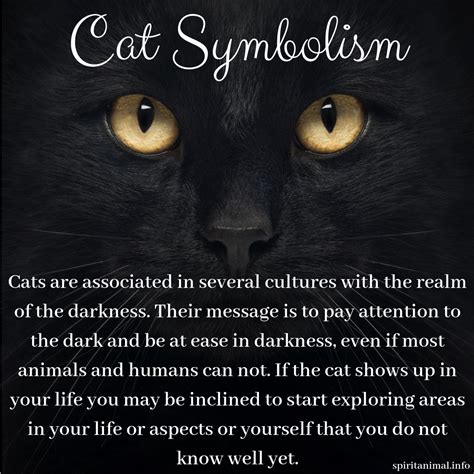 Cat Spirit Animal | Totem | Cat spirit animal, Cat spirit, Cat symbolism