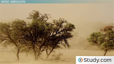 Wind Action & Effects on the Desert Landscape - Lesson | Study.com