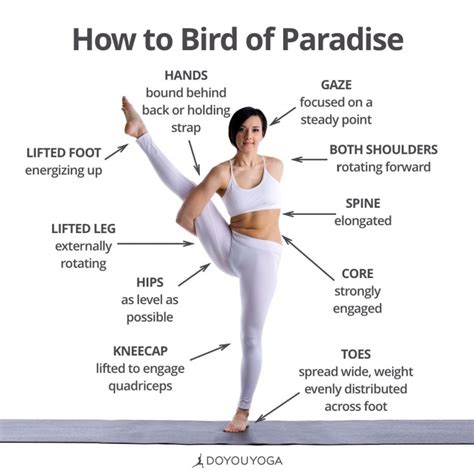 most common bird of paradise yoga pose photo – Yoga Poses