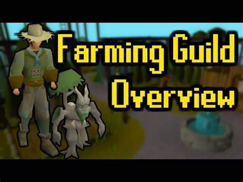 2022 Farming Guild OSRS Guide: Everything You Need To Know - Harmonicode