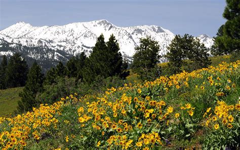 Wallowa Mountains, Halfway, Oregon Photograph by Theodore Clutter | Pixels