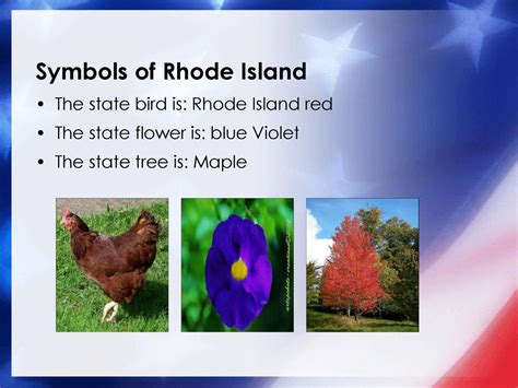 Our 50 States: Rhode Island - ppt download