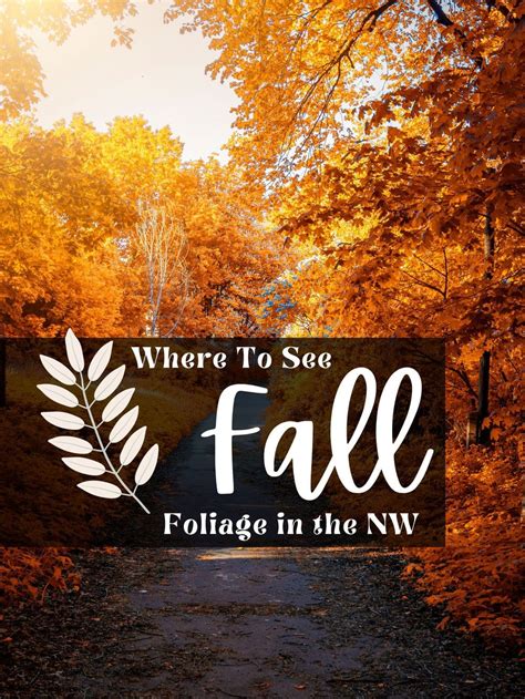 Fall Foliage: Places to View in Seattle, Portland & More! - Thrifty NW Mom