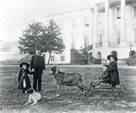 White House Gardens: See Photos of Their Evolution Over Time | TIME