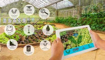 Top 5 Sensors Used in Smart Farming