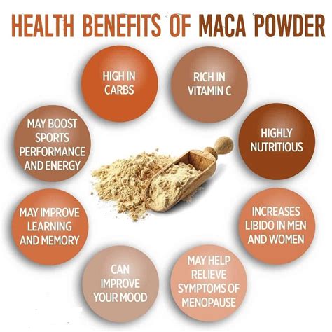 MACA ROOT POWDER 125GM - Chandigarh Organics