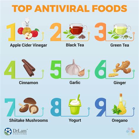 Antiviral Diet: What Is It, How Does It Support The Immune, 56% OFF