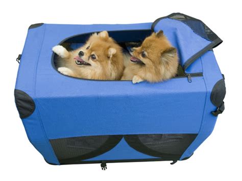 How to Choose the Best Dog Carrier for Your Canine Friend – American ...