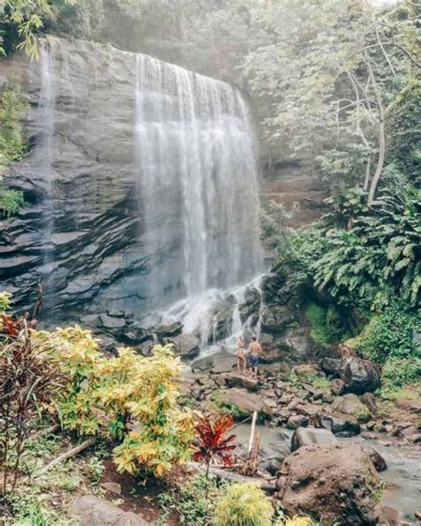 The 5 Best Grenada Waterfalls (With Local Tips) | 2024