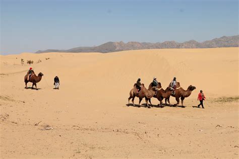 Get Inspiration of a Mongolia tour itinerary - Go Mongolia Tours