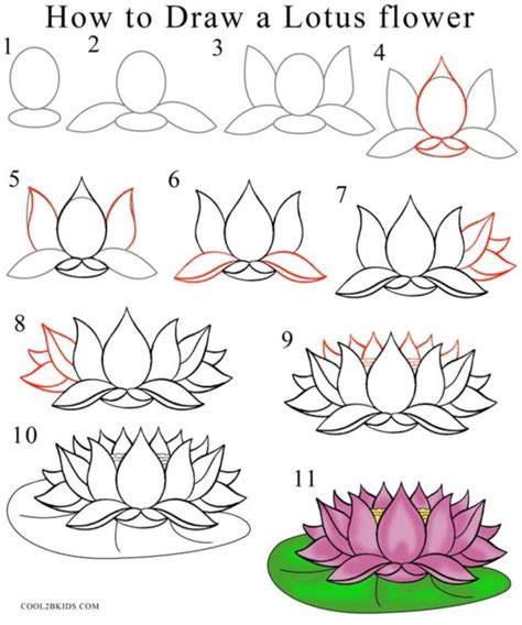 How To Draw A Flower (Step By Step Image Guides)