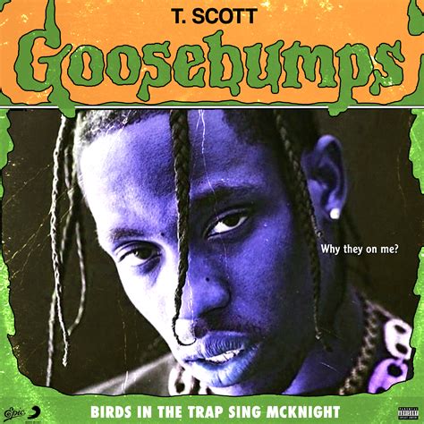 Travis Scott - Goosebumps [2000x2000] : r/freshalbumart