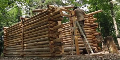 Watch: Time Lapse Log Cabin Build With Hand Tools - AllOutdoor.com