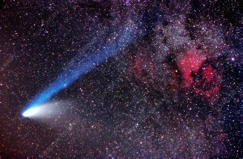 Comet Hale-Bopp - Stock Image - R451/0098 - Science Photo Library