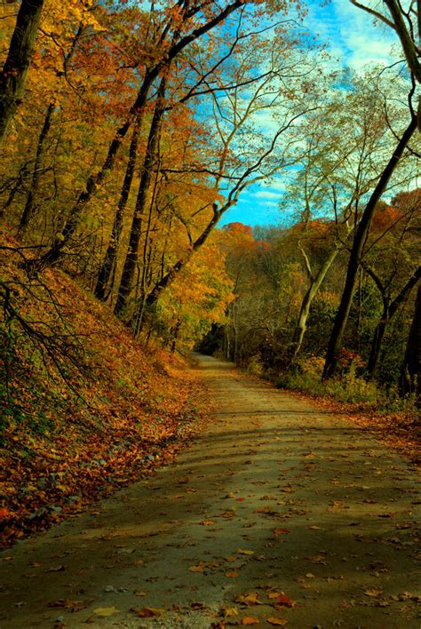 Schenley Park Trail by nikzulhariz on DeviantArt