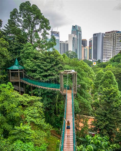 KL Forest Eco Park in Kuala Lumpur, Malaysia! Find fun free things to do in KL on go4theglobe ...