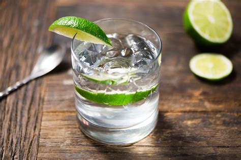10 Best Gin Drink Recipes