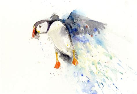 signed LIMITED EDITON PRINT of my original Flying PUFFIN | Animal art, Animal art prints, Bird ...