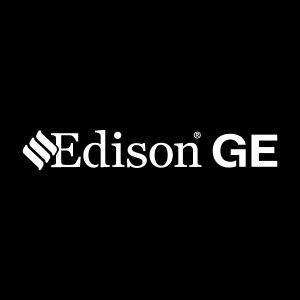 Edison logo Vector - (.Ai .PNG .SVG .EPS Free Download)