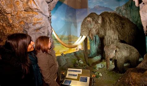 National Museum Cardiff • World class art and natural history • Visit ...