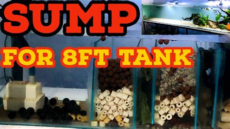 How To Make Sump Filter For Aquarium | Easy Guide On Aquarium Sump ...